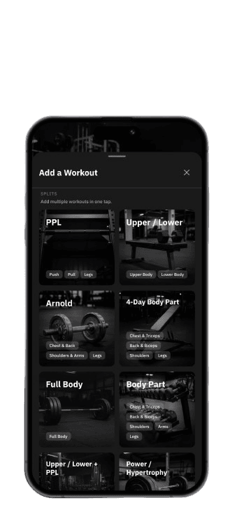 Add a workout sheet showing curated split templates